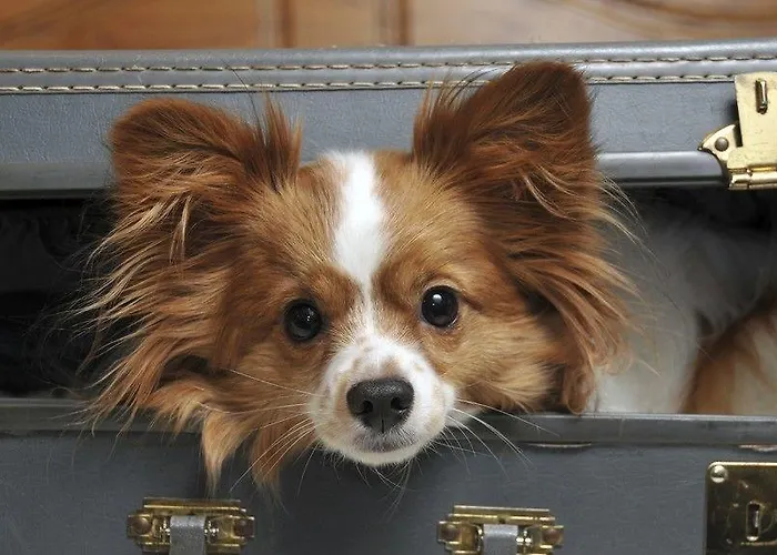 The Aigli Lefkada City